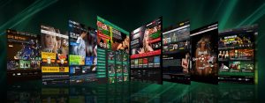 Best Online Sports Betting Websites