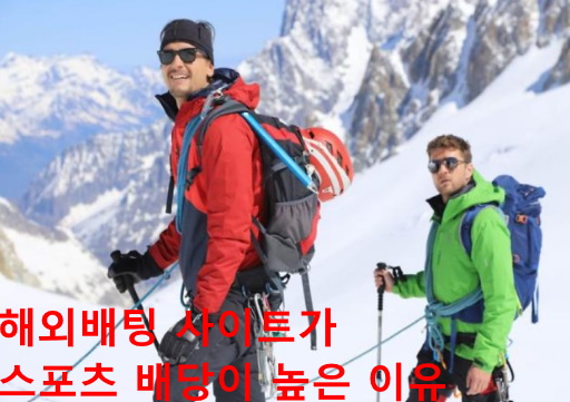 해외배팅
